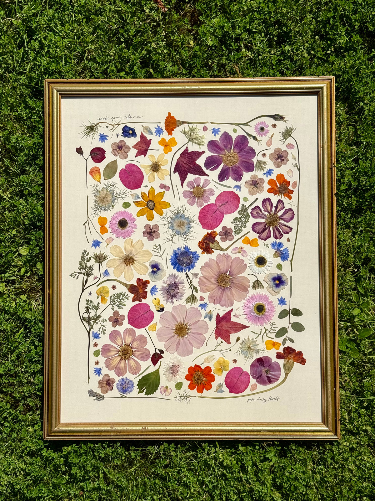 Pressed Preservation, Optionally ft. Invitation